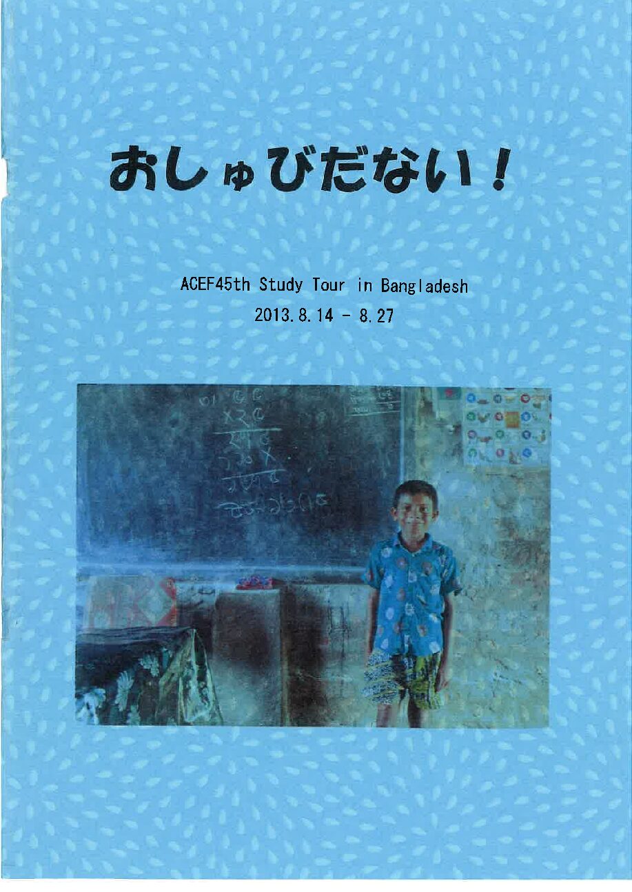 2013夏ST報告書