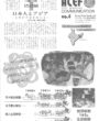 エイセフコミュニケーション No.04 1992年11月1日発行